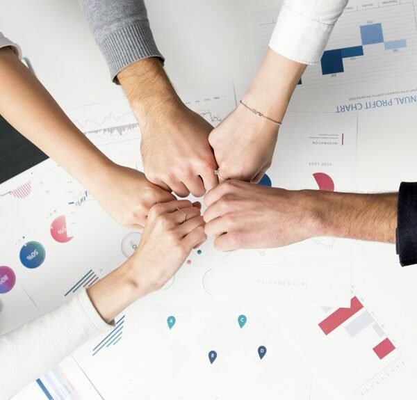 innovation and growth insights